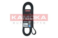 KAMOKA 7016212 - Correa trapecial poli V