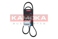 KAMOKA 7016073 - Correa trapecial poli V