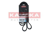 KAMOKA 7016168 - Correa trapecial poli V