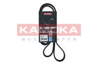 KAMOKA 7016162 - Correa trapecial poli V