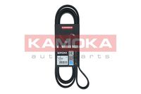 KAMOKA 7016224 - Correa trapecial poli V