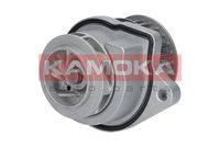 KAMOKA T0248 - 