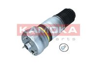 KAMOKA 2079063 - Lado de montaje: Eje trasero<br>