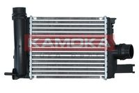 KAMOKA 7750090 - Diámetro de entrada 1 [mm]: 44<br>Diámetro de salida 1 [mm]: 52<br>Tipo radiador: Aletas refrigeración soldadas<br>Técnica conexión: Conexi�n r�pida<br>Calidad: ALTERNATIVO<br>Material: Aluminio<br>Material: Plástico<br>Tipo de refrigeración: refrigerado por aire<br>Longitud de red [mm]: 256<br>Ancho de red [mm]: 217<br>Profundidad de red [mm]: 64<br>