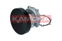 KAMOKA T0247 - 