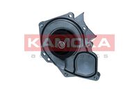 KAMOKA T0289 - 