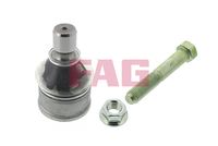 Schaeffler FAG 825024610 - Rótula de suspensión/carga