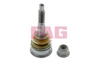 Schaeffler FAG 825041810 - Rótula de suspensión/carga