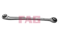 Schaeffler FAG 821069510 - Barra oscilante, suspensión de ruedas