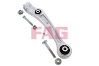 Schaeffler FAG 821 1069 10 - Barra oscilante, suspensión de ruedas