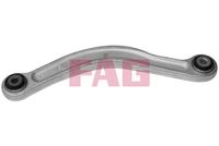 Schaeffler FAG 821078010 - Barra oscilante, suspensión de ruedas