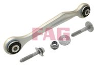 Schaeffler FAG 821079910 - Barra oscilante, suspensión de ruedas