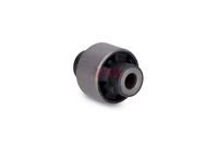 Schaeffler FAG 829061310 - Suspensión, Brazo oscilante