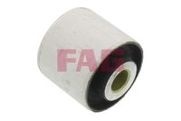 Schaeffler FAG 829038610 - Suspensión, Brazo oscilante