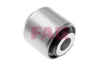 Schaeffler FAG 829003510 - Suspensión, Brazo oscilante