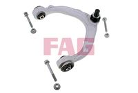 Schaeffler FAG 821097510 - Barra oscilante, suspensión de ruedas