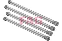 Schaeffler FAG 813000130 - Kit de suspensión, muelles