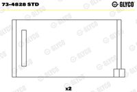 GLYCO 734828STD - Cojinete de árboles de levas