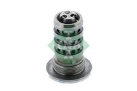 Schaeffler INA 427003710 - Válvula central, ajuste árbol de levas