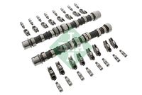 Schaeffler INA 428003030 - Código de motor: 199 A9.000<br>Norma de emisiones: Euro 5<br>para artículo nr.: BFS148S<br>para artículo nr.: C405<br>para artículo nr.: C406<br>