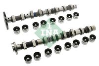 Schaeffler INA 428005430 - Kit de árbol de levas