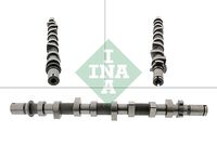 Schaeffler INA 428019810 - Código de motor: K9K 874<br>Medida de rosca: M10x1.00<br>Material: Hierro fundido<br>Norma de emisiones: Euro 5<br>