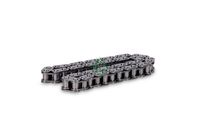 Schaeffler INA 553005910 - Cadena de distribución