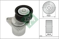 Schaeffler INA 534012820 - Tensor de correa, correa poli V