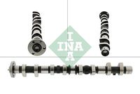 Schaeffler INA 428018410 - Árbol de levas