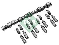 Schaeffler INA 428004330 - Kit de árbol de levas