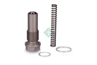 Schaeffler INA 551012210 - Tensor, cadena de distribución