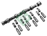 Schaeffler INA 428004130 - Kit de árbol delevas