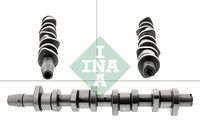 Schaeffler INA 428013010 - Árbol de levas