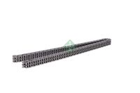 Schaeffler INA 553032310 - Cadena de distribución