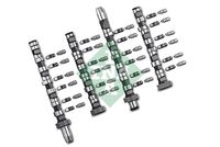 Schaeffler INA 428003830 - Kit de árbol de levas