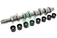 Schaeffler INA 428004230 - Kit de árbol delevas