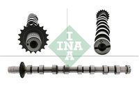 Schaeffler INA 428020510 - Árbol de levas