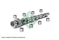 Schaeffler INA 428003430 - Código de motor: RHX (DW10BTED)<br>para OE N°: 0801T5<br>para OE N°: 9624835280<br>para OE N°: 9624835288<br>Longitud total [mm]: 449,5<br>Artículo complementario / información complementaria 2: con piezas de montaje<br>Artículo complementario / información complementaria 2: con árboles de levas<br>Cantidad de válvulas: 8<br>cantidad de tornillos: 12<br>