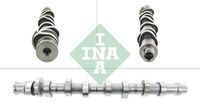 Schaeffler INA 428016110 - Código de motor: BFQ<br>año construcción desde: 05/2002<br>Código de motor: AVU<br>año construcción hasta: 04/2002<br>