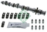 Schaeffler INA 428005030 - Kit de árbol delevas