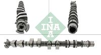 Schaeffler INA 428017710 - Árbol de levas