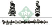 Schaeffler INA 428017810 - Árbol de levas