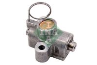 Schaeffler INA 551025910 - Tensor, cadena de distribución