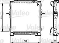 VALEO 733548 - Radiador, refrigeración del motor - REFERENCIA NUEVA