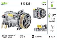 VALEO 813223 - año construcción desde: 09/2010<br>año construcción hasta: 04/2015<br>Clase de caja de cambios: Caja de cambios manual, 5 marchas<br>Equipamiento de vehículo: para vehículos con climatizador (regulado manualmente)<br>Zonas climáticas: para zonas de clima cálido<br>Restricción de fabricante: SANDEN<br>ID compresor: 7C16<br>Agente frigorífico: R 134 a<br>Tensión [V]: 12<br>Capacidad aceite [ml]: 135<br>poleas - Ø [mm]: 119<br>Número de canales: 6<br>Capacidad compresor [cc]: 160<br>Artículo complementario / información complementaria 2: con aceite de compresor PAG<br>Aceite para compresor: PAG 46<br>Peso [kg]: 7,27<br>