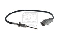 EFI AUTOMOTIVE 1473157 - Versión: GS<br>Fabricante: CITROËN<br>Fabricante: FIAT<br>Fabricante: LANCIA<br>Fabricante: PEUGEOT<br>