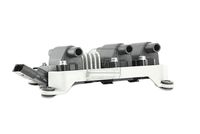 EFI AUTOMOTIVE 155900 - Cantidad: 1<br>Bobina de encendido: Versión de conexión SAE<br>Modelo de conector: Hembra<br>Número de enchufes de contacto: 5<br>Tensión [V]: 12<br>