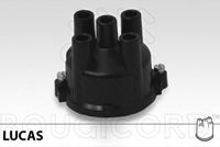 EFI AUTOMOTIVE 160727 - Tapa de distribuidor de encendido - EFI - BOUGICORD