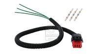 EFI AUTOMOTIVE 170070 - Conector de cables - EFI - BOUGICORD