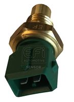 EFI AUTOMOTIVE 295009 - Tensión [V]: 12<br>Medida de rosca: M12x1,5 mm<br>Color: verde<br>Material: Cobre<br>Artículo complementario/Información complementaria: con arandelas de ajuste<br>Número de enchufes de contacto: 2<br>Material de carcasa: Nylon<br>Color de conector: verde<br>